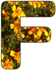 Deko-Buchstaben-Blumen_F.jpg